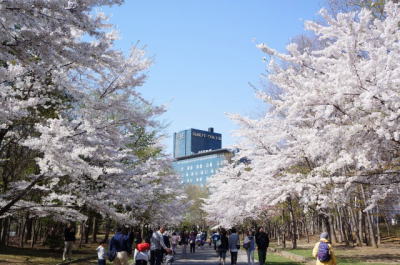 b0001440_16135221.jpg