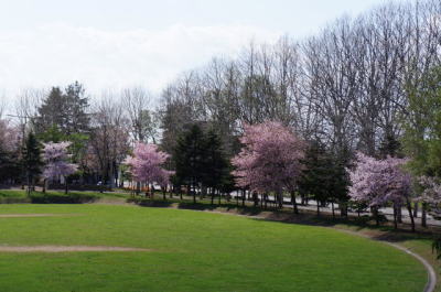 b0001440_16274934.jpg
