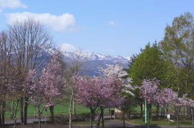 b0001440_1628359.jpg