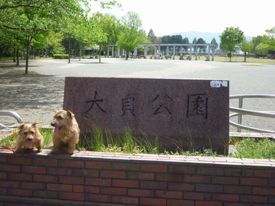 c0211540_11354262.jpg
