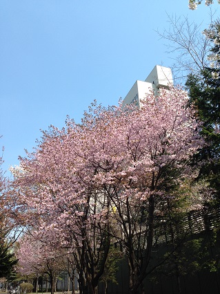 c0227640_824882.jpg