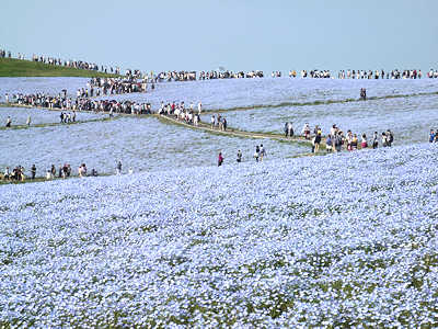d0039443_1042753.jpg