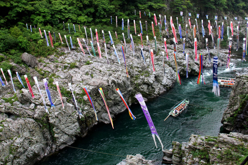 f0281446_20423550.jpg