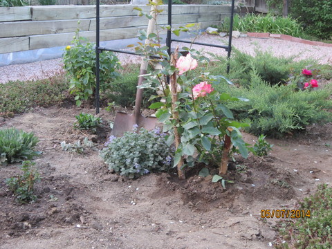 a0204348_2243122.jpg