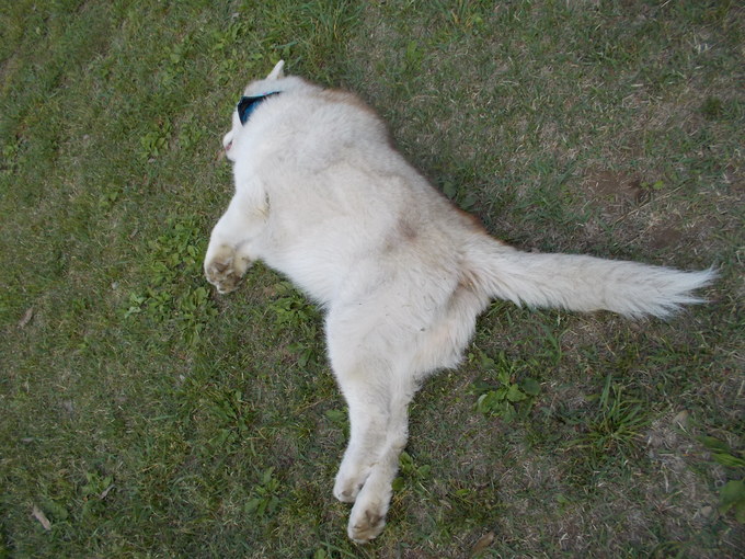 e0121548_20441161.jpg