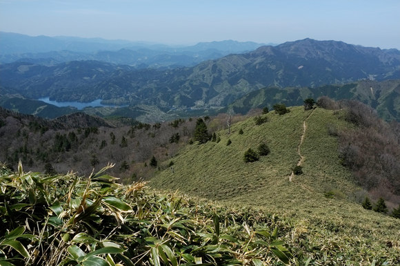 a0166150_12451694.jpg