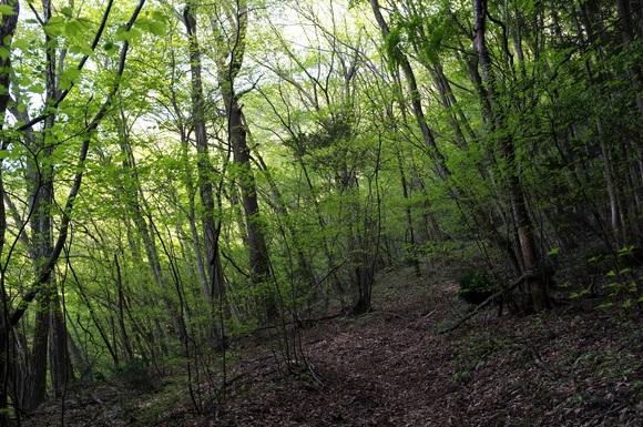 a0166150_12573428.jpg
