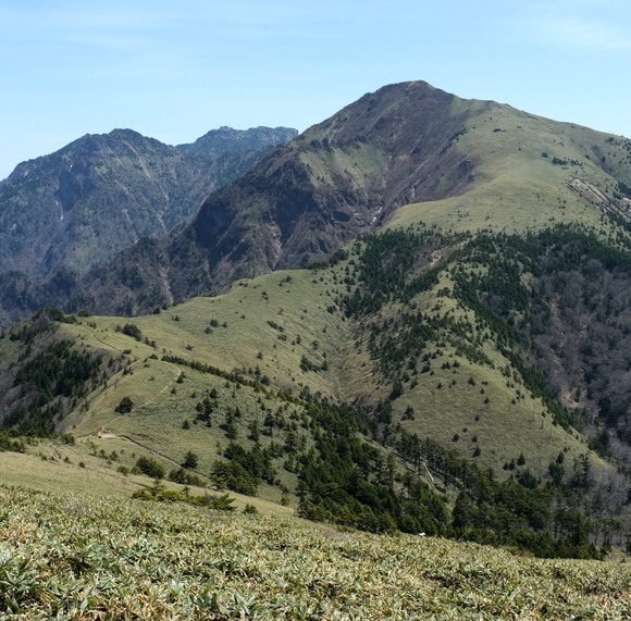 a0166150_1339982.jpg