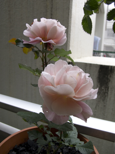 b0158551_22524673.jpg
