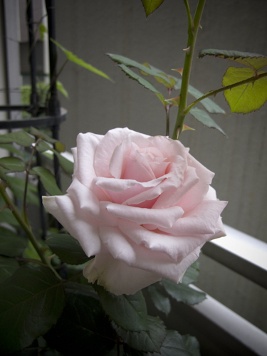 b0158551_22524695.jpg