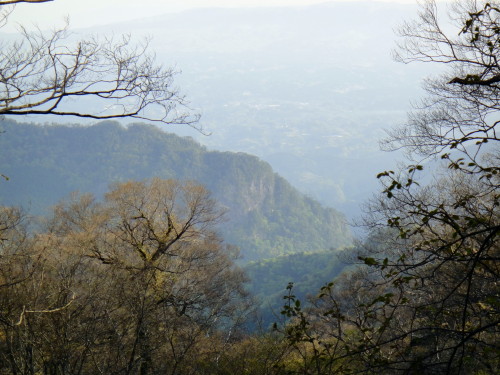 c0179351_9393964.jpg