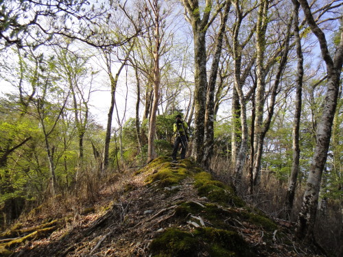 c0179351_9402723.jpg
