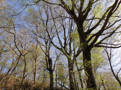 c0179351_943149.jpg
