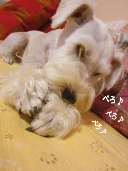 d0264176_19244221.jpg