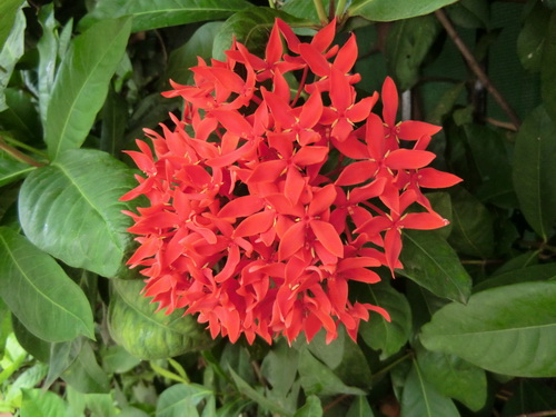 a0002177_12552511.jpg