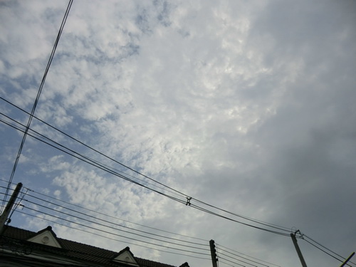 a0002177_1255468.jpg