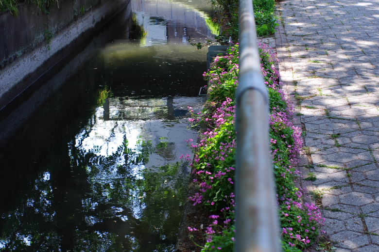 b0120979_13552314.jpg