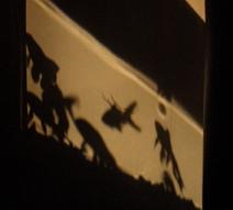 f0101679_19495560.jpg