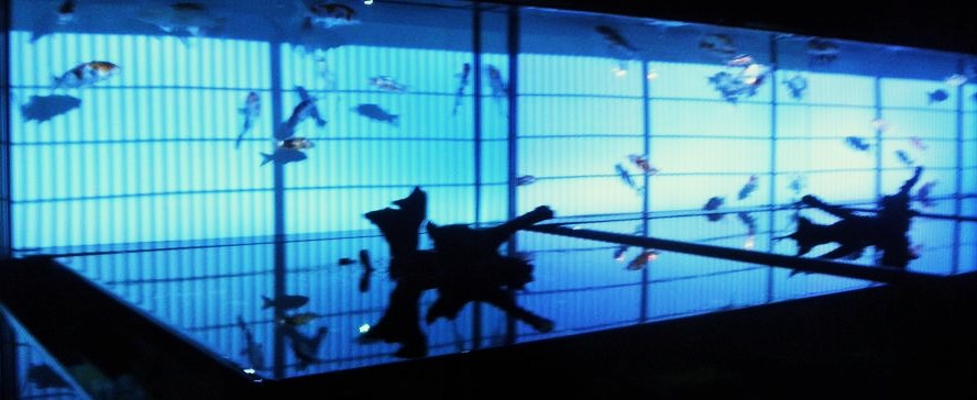 f0101679_2010357.jpg