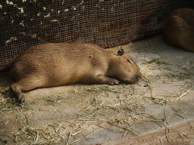 f0167281_15183298.jpg