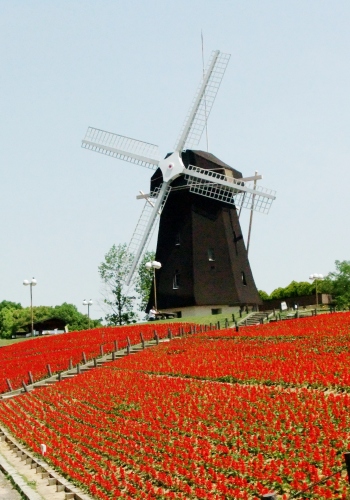b0329186_17230317.jpg
