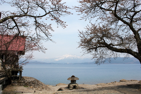 b0165088_11373959.jpg