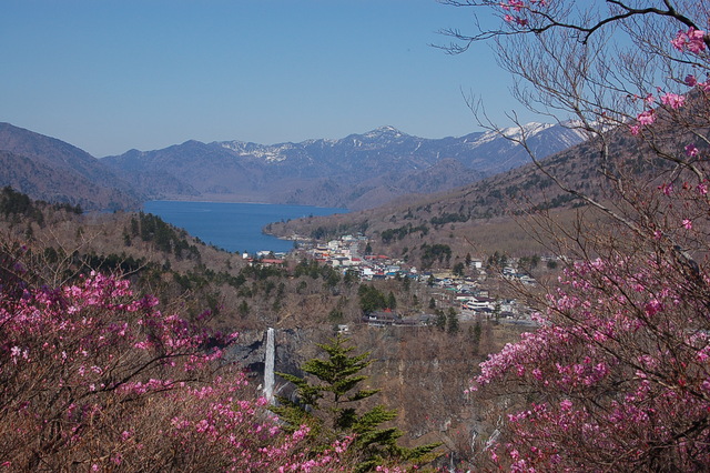 b0203588_2131462.jpg