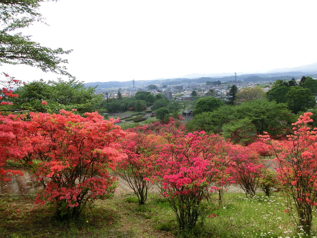 b0203588_21402955.jpg