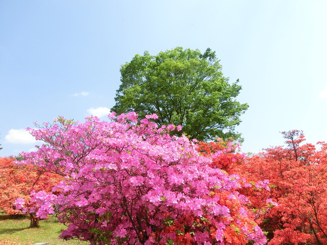 b0203588_214050100.jpg