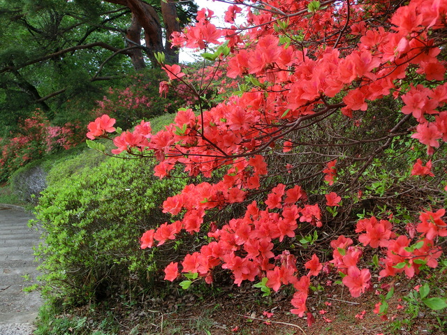 b0203588_2141216.jpg