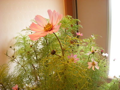 c0149195_1244373.jpg