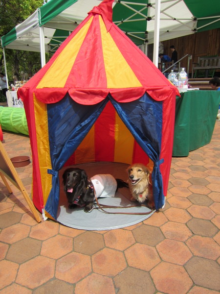 d0098295_23294477.jpg