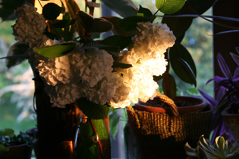 d0100095_18184546.jpg