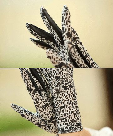 d0162995_10523498.gif