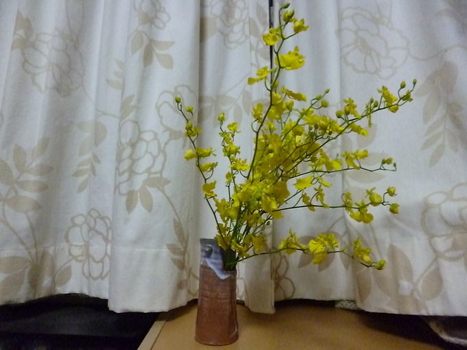 f0305995_020185.jpg
