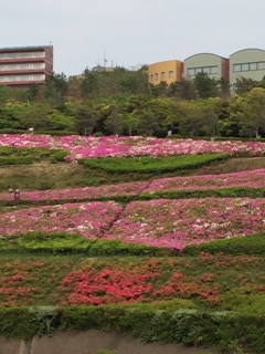 b0128496_10325656.jpg