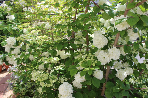 a0190999_23514856.jpg