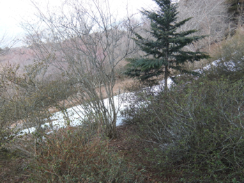 a0218499_14393266.jpg
