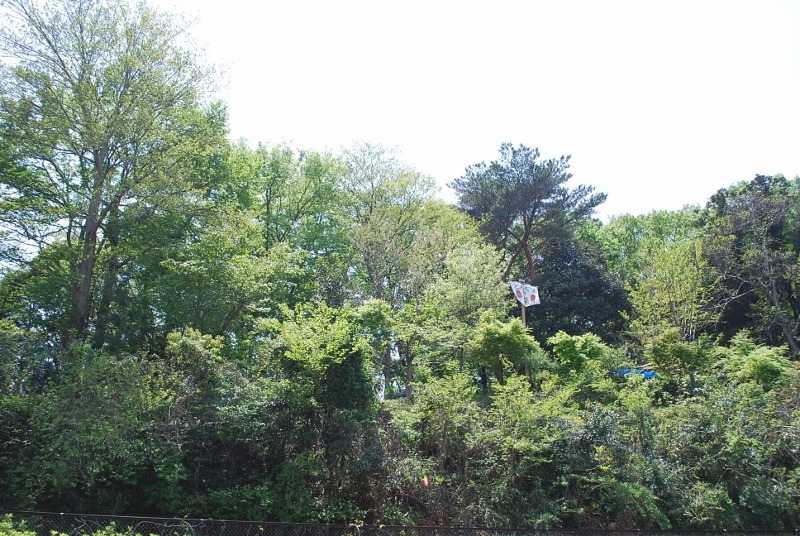 e0025300_10501787.jpg