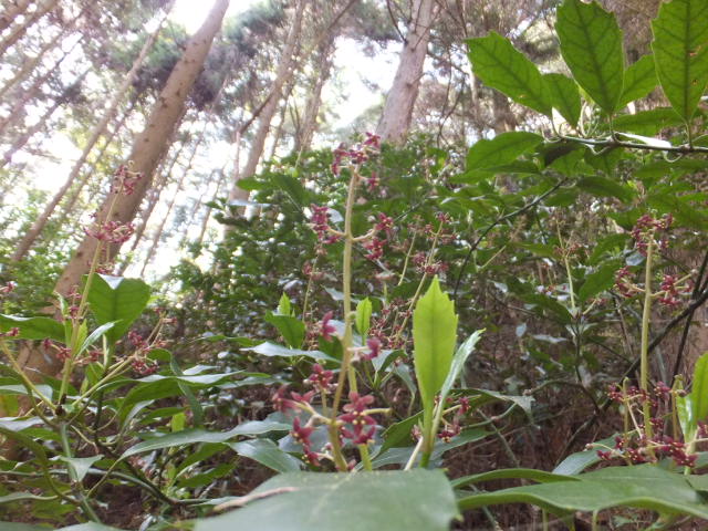 a0271502_17182635.jpg