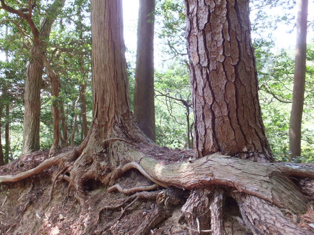a0271502_17423133.jpg