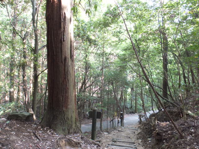 a0271502_1801248.jpg