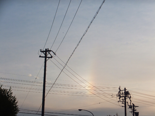 a0271502_1865886.jpg
