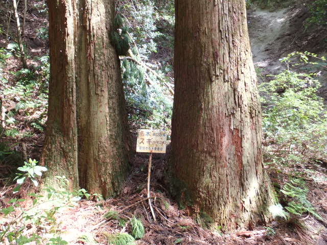 a0271502_2112486.jpg