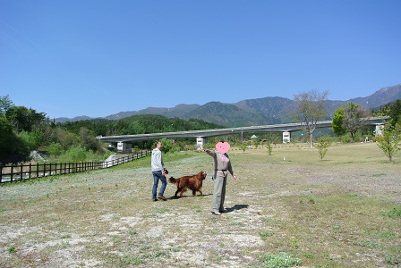 a0134004_22365321.jpg