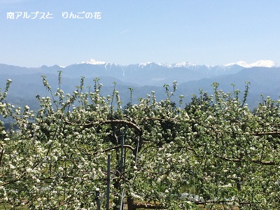 a0134004_224868.jpg