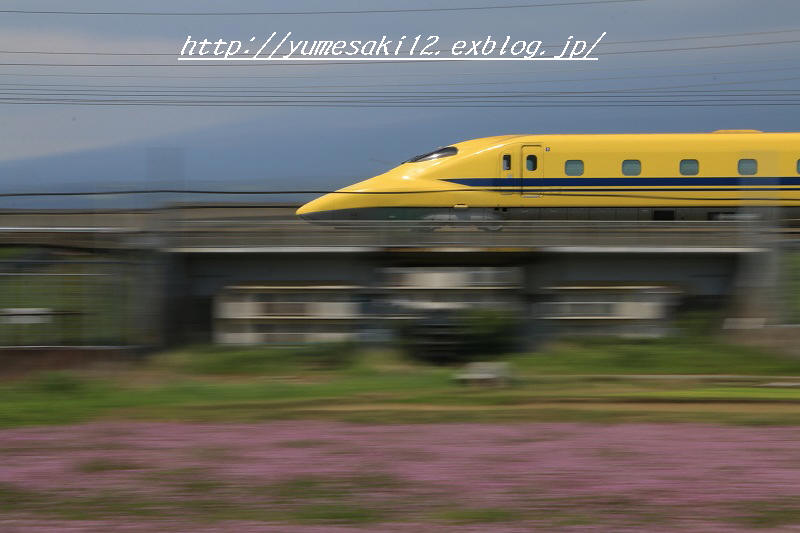 a0188405_754479.jpg