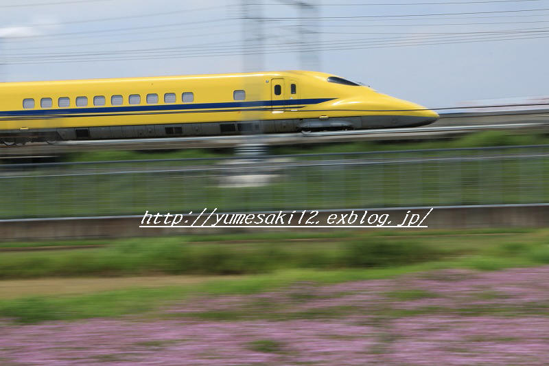 a0188405_756711.jpg