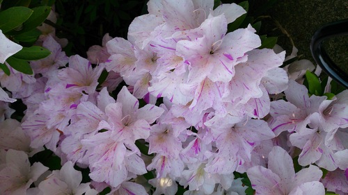 c0124908_9142465.jpg