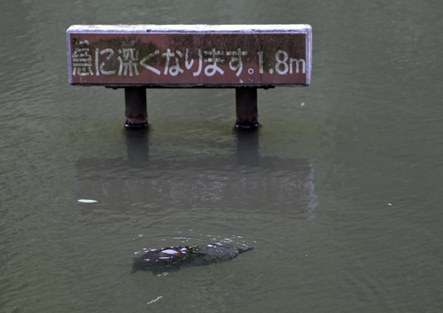 c0186410_223217.jpg